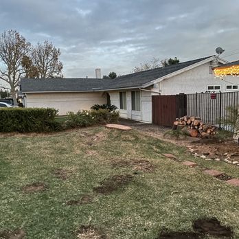 Ayala's Tree Service - After - Tree Services Near Me Ayala's Tree Service - After - Tree Services Near Me