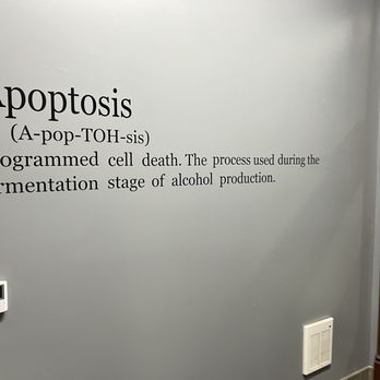Apoptosis Brewing Company - The origin of the name, very biologic - Breweries Near Me - Kalamazoo, Michigan