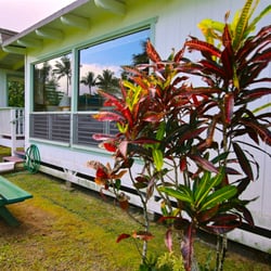 Hanalei Moon Beach Cottage - Tropical foliage around the beach house.