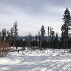 Winter Woods Dog Sled Tours - The scenery.