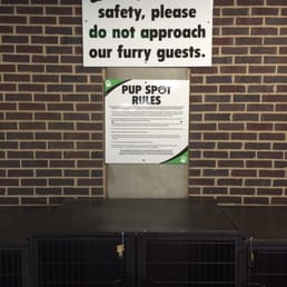 Bring your dog to Festival Foods!
