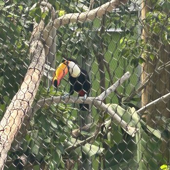 Naples Zoo - Zoos Near Me - Naples, Florida
