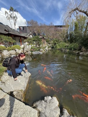 Chinese Garden of Friendship by null