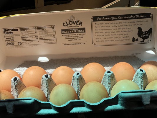 Bel-Clift Grocery by null