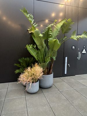 citizenM San Francisco Union Square hotel by null
