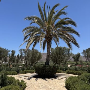El Cielo - Wineries Near Me - El Porvenir, BCN