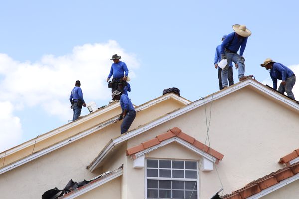 Pine Roofing Services Logo