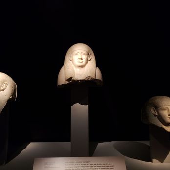 Field Museum - Museums Near Me - Chicago, Illinois