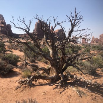 Arches National Park - Parks Near Me Arches National Park - Parks Near Me