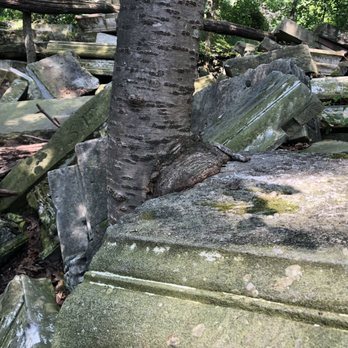 Capitol Stones - Tree growing around stones - Landmarks & Historical Buildings Near Me - Washington, DC, District of Columbia