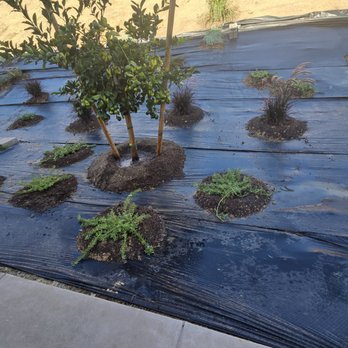 Moon Valley Nurseries - Nurseries & Gardening Near Me - Brentwood, California