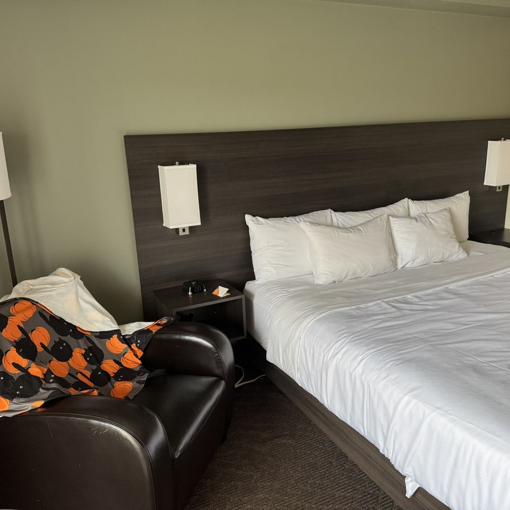 Quality Inn - Bed was comfy - Hotels Near Me - Kingston, Ontario Quality Inn - Bed was comfy - Hotels Near Me - Kingston, Ontario