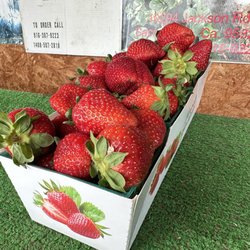 S-T Strawberries - Chandler strawberries