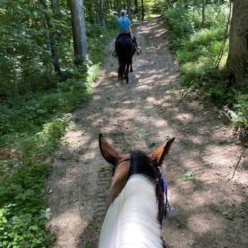 Chism Creek Farm - Horse Boarding Near Me - Rockfield, Kentucky Chism Creek Farm - Horse Boarding Near Me - Rockfield, Kentucky