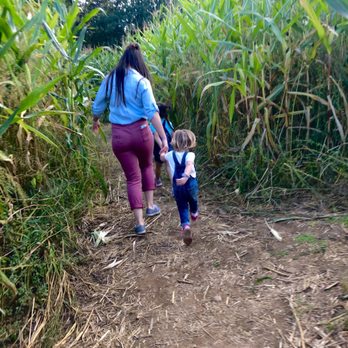 The Apple Place - Running through the maze - Donuts Near Me - East Longmeadow, Massachusetts
