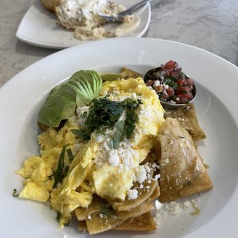 Cafe Mimosa - Breakfast & Brunch Near Me - Santa Rosa, California Cafe Mimosa - Breakfast & Brunch Near Me - Santa Rosa, California
