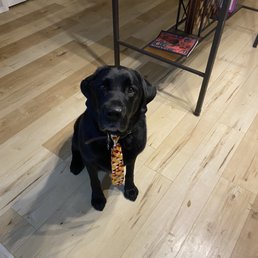 Kai all clean with his new tie