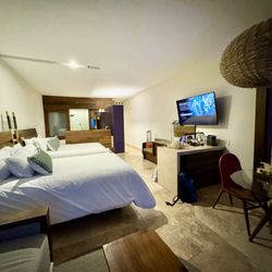 Hotel Xcaret - Room in Arte