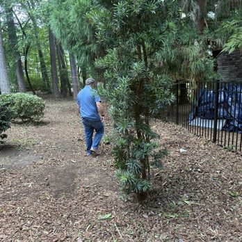 Torres Lawn Maintenance - Lawn Services Near Me Torres Lawn Maintenance - Lawn Services Near Me
