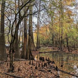 Le Fleur's Bluff State Park - Instagram: @telephonesmoothie
