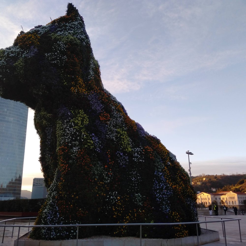 Museo Guggenheim Bilbao - I'd love to see this in full bloom - Landmarks & Historical Buildings Near Me - Bilbao, BI