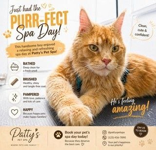 We Groom Cats! - We groom and bathe cats!