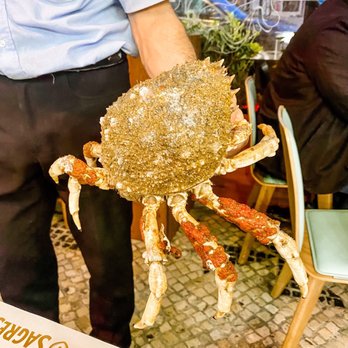 Cervejaria Ramiro - Seafood Near Me - Lisbon, 11