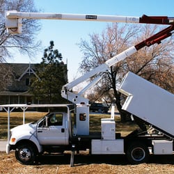 Timberland Tree Care