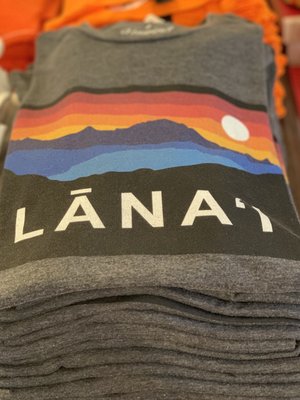 The Local Gentry by null