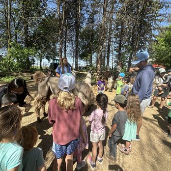 Carlson's Llovable Llamas - Learning more about llamas - Zoos Near Me - Waconia, Minnesota Carlson's Llovable Llamas - Learning more about llamas - Zoos Near Me - Waconia, Minnesota