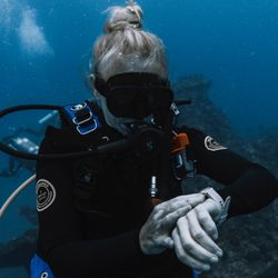 Waikiki Dive Center