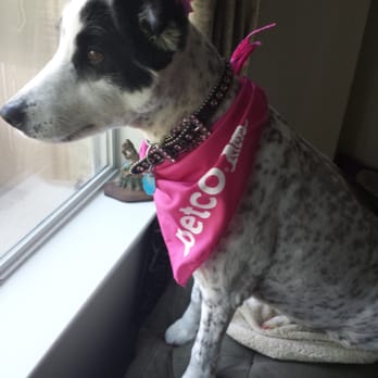Petco - Pretty In pink - Pet Training Near Me - Rosenberg, Texas