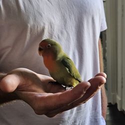 Feathered Wings of Magnolia - Our sweet Winslow!