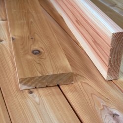 Mr Plywood