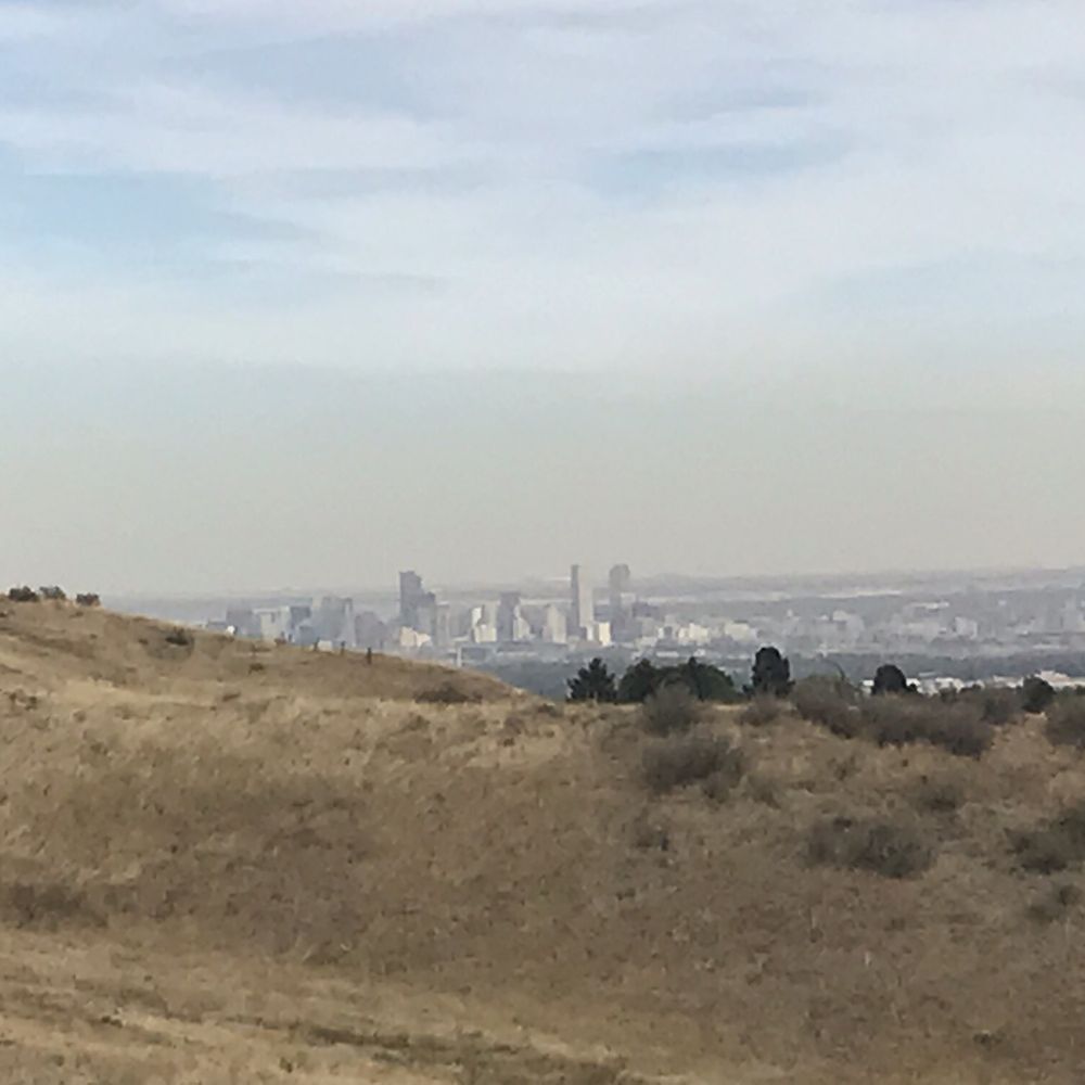 Downtown Denver from the park