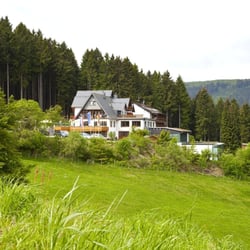 Wald Hotel Willingen - Waldhotel in Willingen