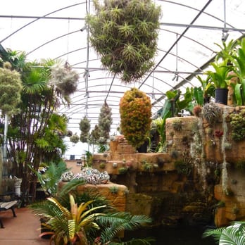 Rainforest Flora - Nurseries & Gardening Near Me - Torrance, California Rainforest Flora - Nurseries & Gardening Near Me - Torrance, California