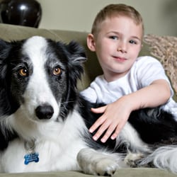 Bailey & Banjo