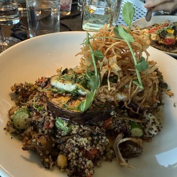 Seventh South Waterfront - Eggplant on vegetable quinoa with roasted snapper - Cocktail Bars Near Me - Naples, Florida Seventh South Waterfront - Eggplant on vegetable quinoa with roasted snapper - Cocktail Bars Near Me - Naples, Florida