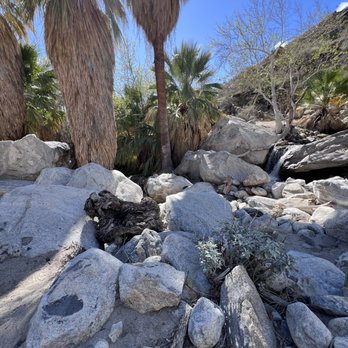 Indian Canyons - Parks Near Me - Palm Springs, California