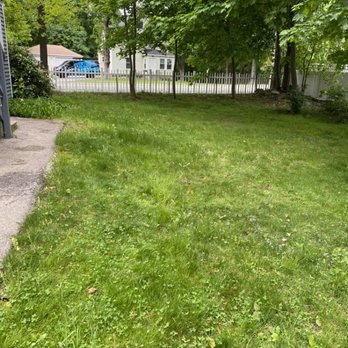 Lawns By Lenora - a lawn in a residential area - Lawn Services Near Me Lawns By Lenora - a lawn in a residential area - Lawn Services Near Me