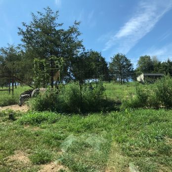 Branson's Promised Land Zoo - Zoos Near Me - Branson, Missouri Branson's Promised Land Zoo - Zoos Near Me - Branson, Missouri