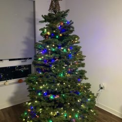 Pumpkin City's Christmas Trees