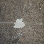 Photo of Bradford & Son Painting & Remodeling