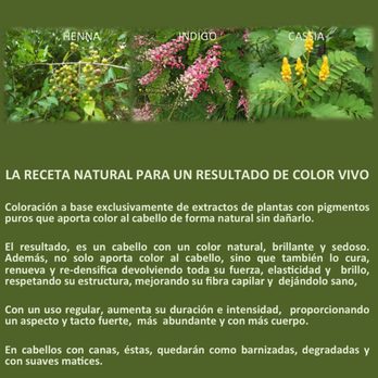 Paco Cabello - COLORACION VEGETAL BARROS - Hair Salons Near Me - Madrid, M