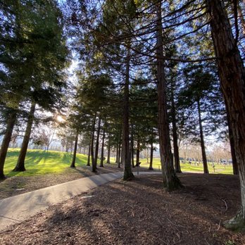 San Ramon Central Park - Parks Near Me - San Ramon, California San Ramon Central Park - Parks Near Me - San Ramon, California