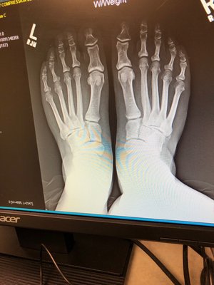 New England Orthopedic Surgeons