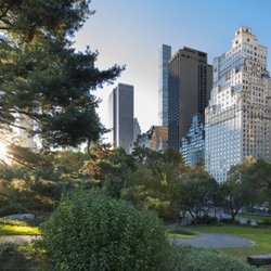 The Ritz-Carlton New York, Central Park