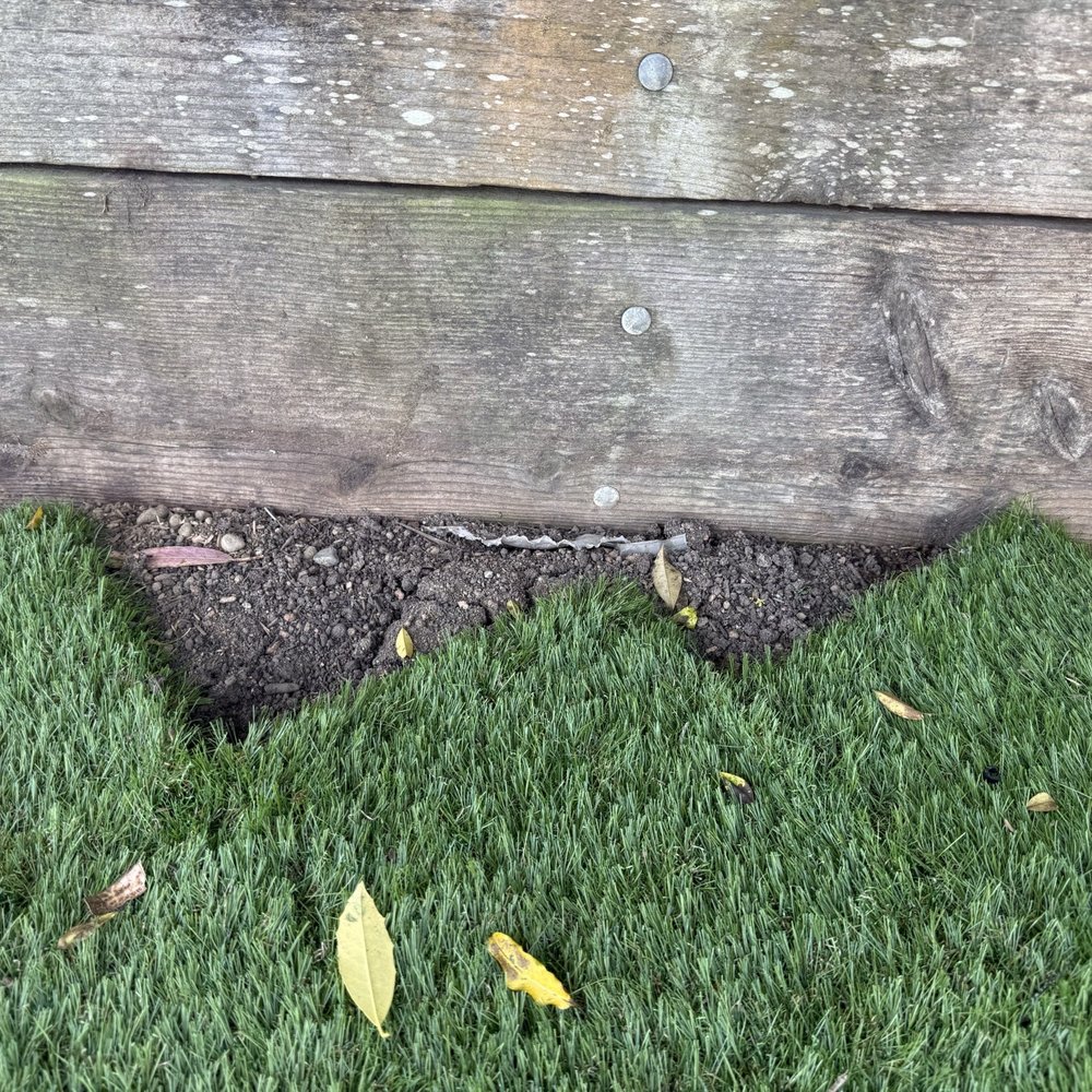 Arana’s Landscaping - Turf lawn - Gardeners Near Me