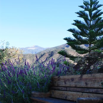 Meditation Mount - Seating in the Garden of Peace - Meditation Centers Near Me - Ojai, California Meditation Mount - Seating in the Garden of Peace - Meditation Centers Near Me - Ojai, California